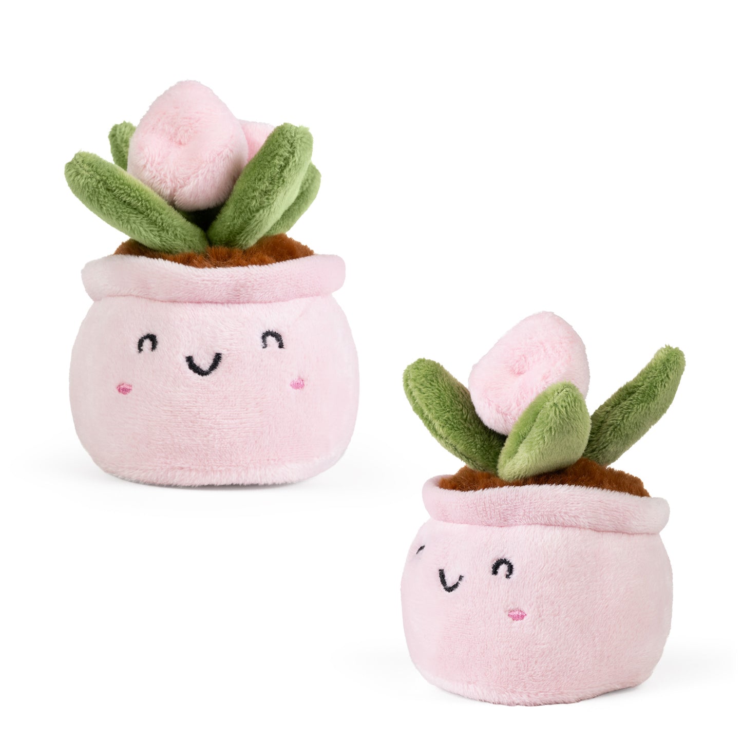Nature Plant Plush