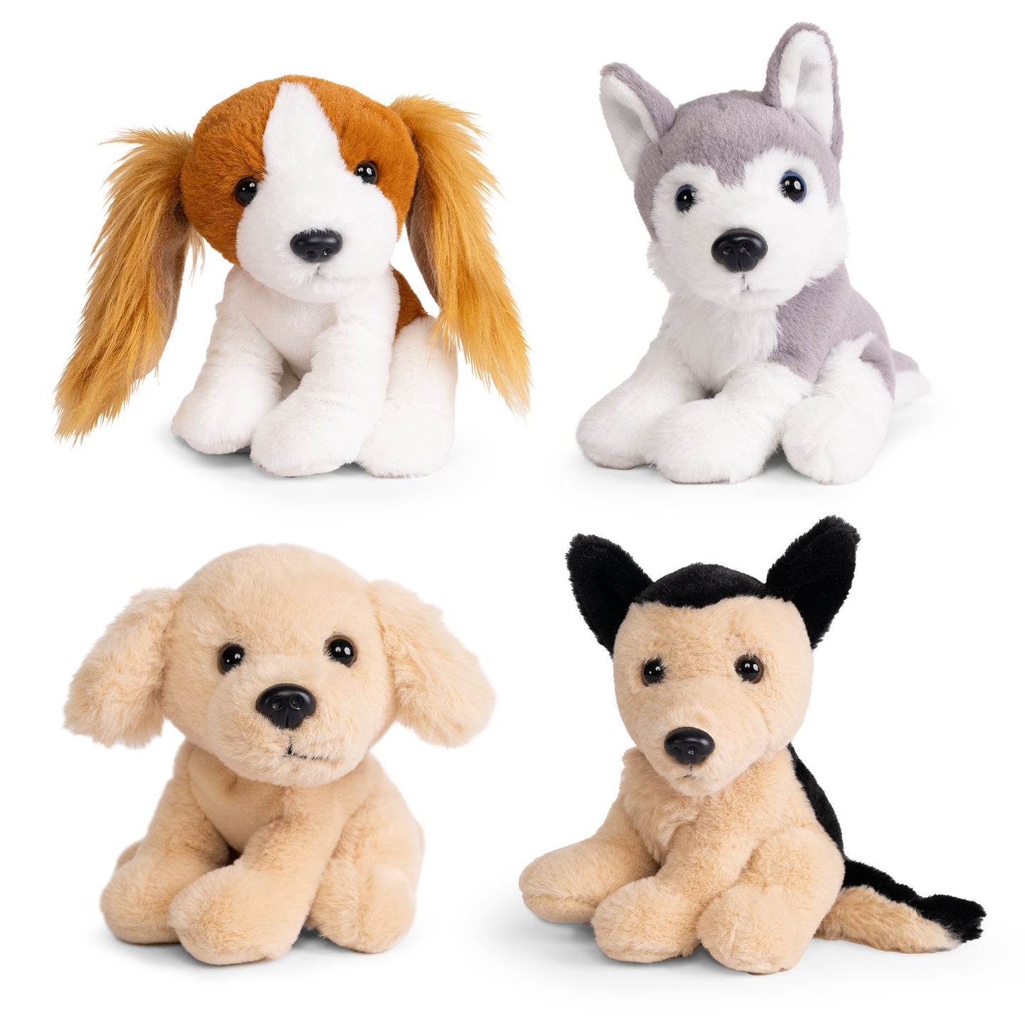 Plush Dogs