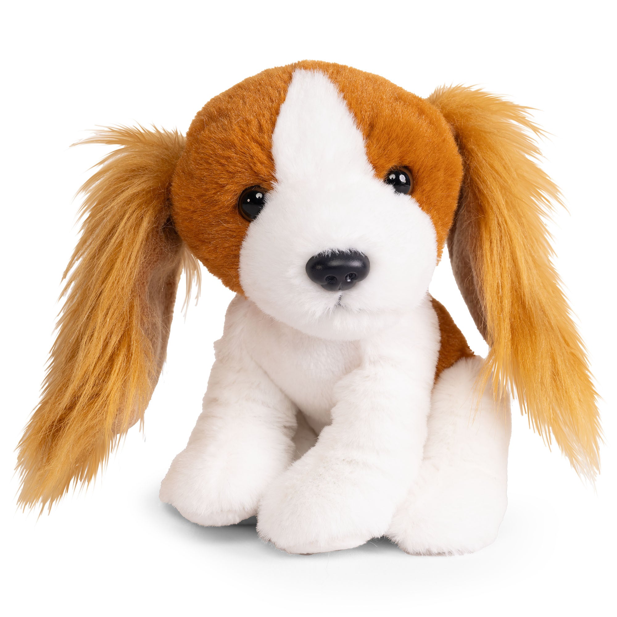 Plush Dogs