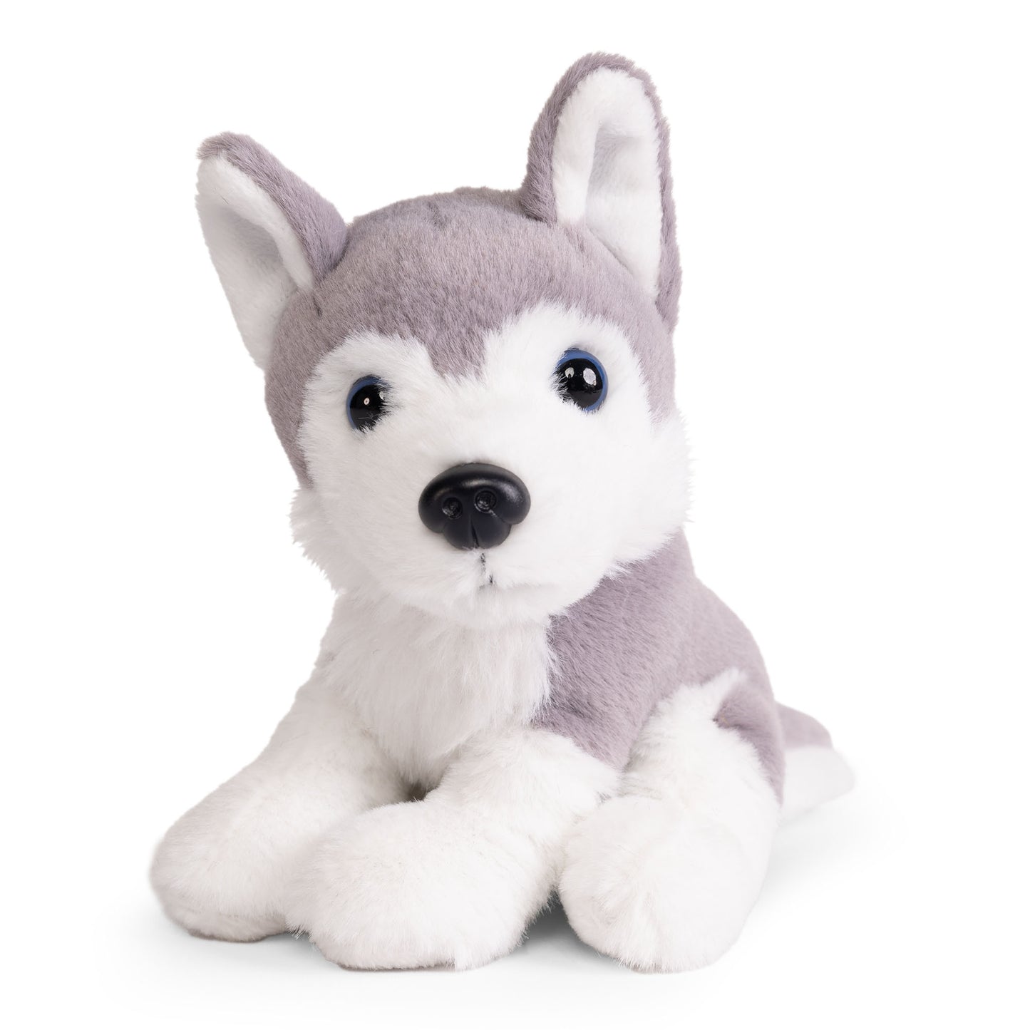 Plush Dogs